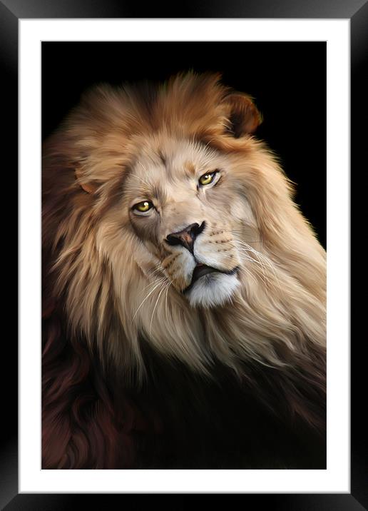Cameron Framed Mounted Print by Big Cat Rescue