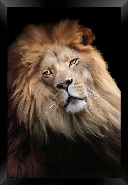 Cameron Framed Print by Big Cat Rescue