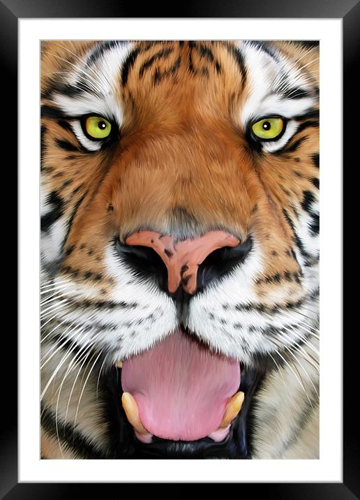 ShereKhan Framed Mounted Print by Big Cat Rescue