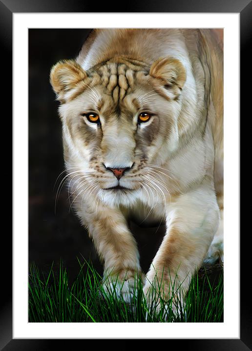 Nikita Framed Mounted Print by Big Cat Rescue