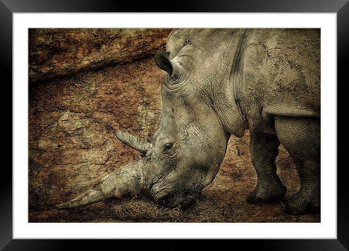 Between a Rock and a Hard Place Framed Mounted Print by Fiona Messenger