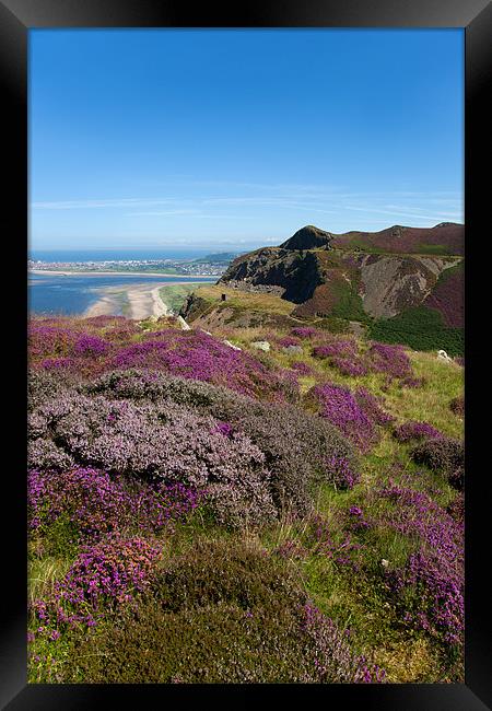 Views from Conwy Mountain Framed Print by Gail Johnson