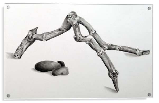 Fine art study of driftwod Acrylic by David Worthington