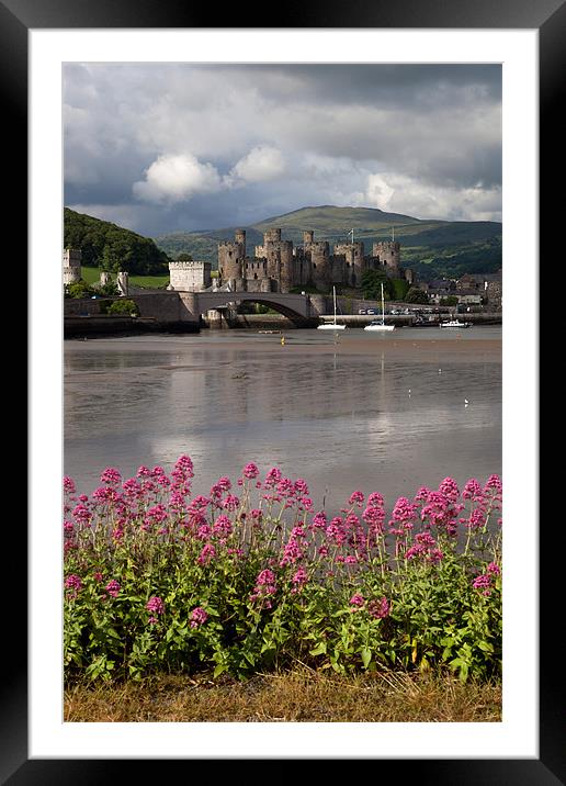 View to Conwy Framed Mounted Print by Gail Johnson