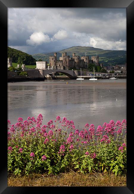 View to Conwy Framed Print by Gail Johnson