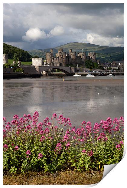 View to Conwy Print by Gail Johnson