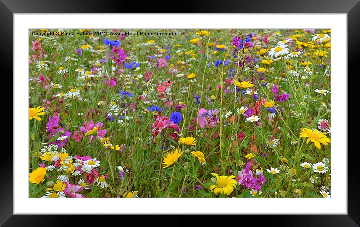 Colour in wildflower meadow1 Framed Mounted Print by Paula Palmer canvas