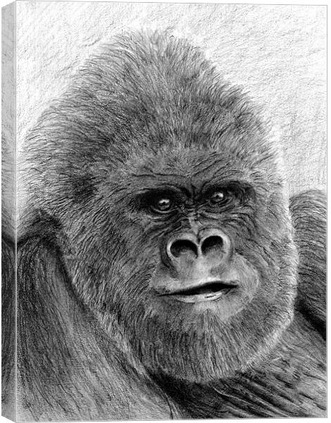 Gorilla fine art study Canvas Print by David Worthington