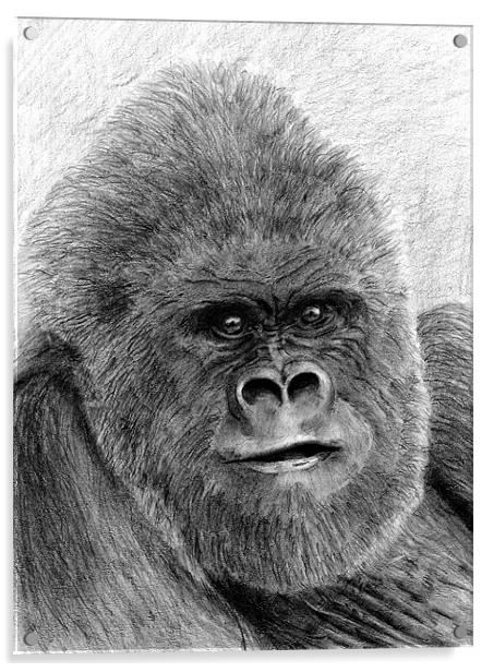 Gorilla fine art study Acrylic by David Worthington