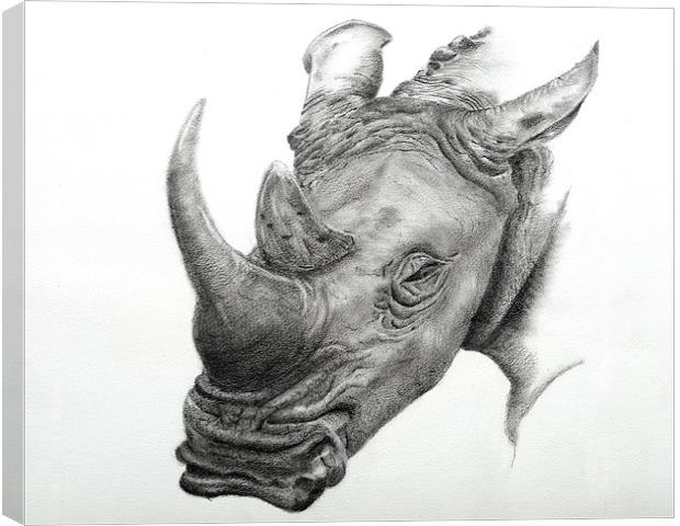 White Rhino fine art sketch Canvas Print by David Worthington