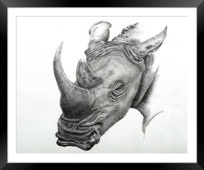 White Rhino fine art sketch Framed Mounted Print by David Worthington