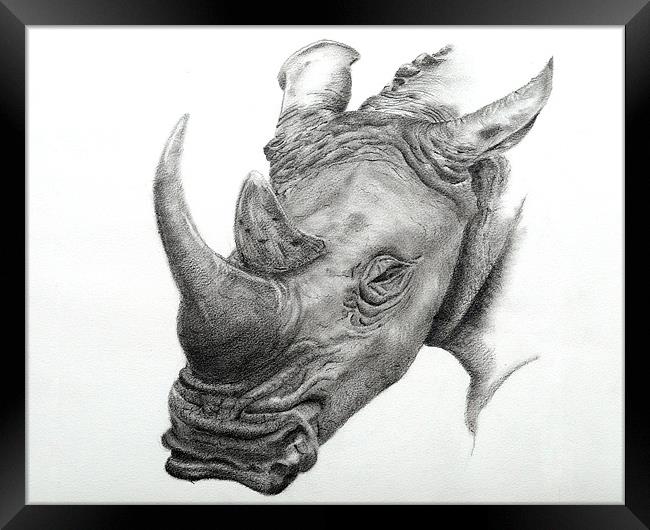 White Rhino fine art sketch Framed Print by David Worthington
