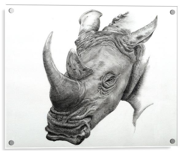 White Rhino fine art sketch Acrylic by David Worthington