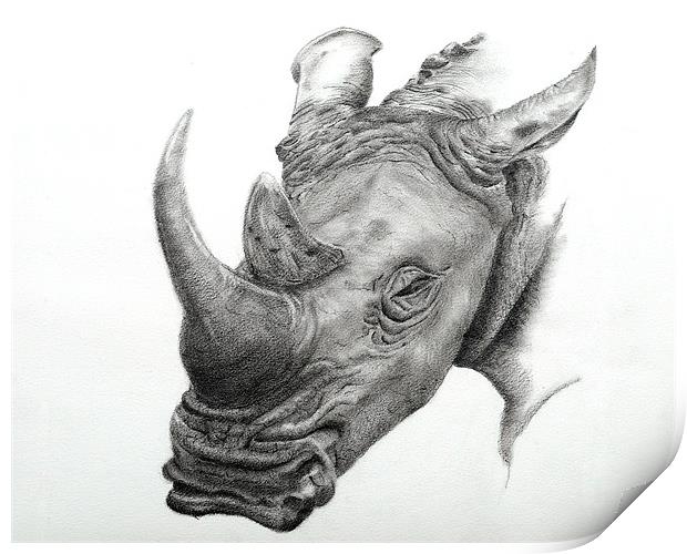White Rhino fine art sketch Print by David Worthington