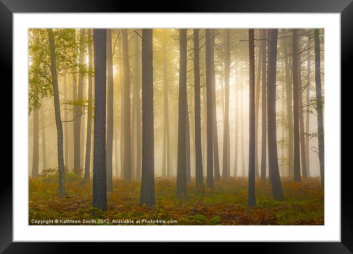 Tree trunks in mist Framed Mounted Print by Kathleen Smith (kbhsphoto)