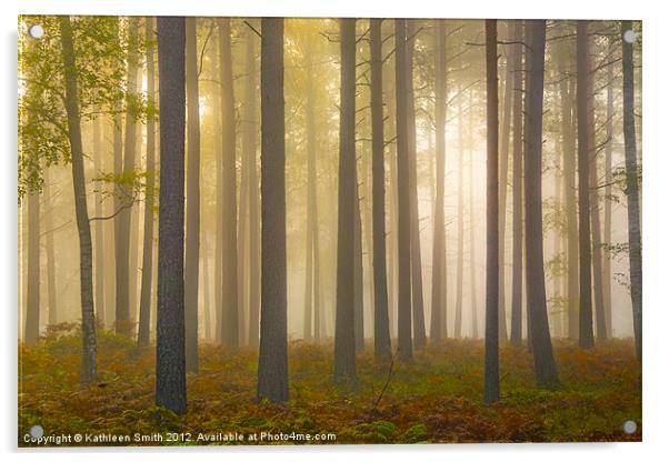 Tree trunks in mist Acrylic by Kathleen Smith (kbhsphoto)