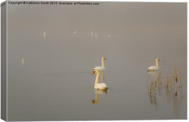 Swan lake in mist Canvas Print by Kathleen Smith (kbhsphoto)