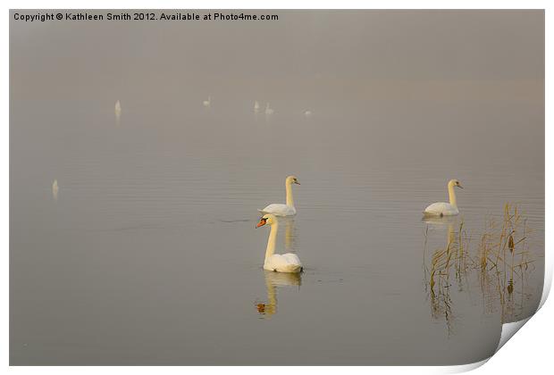Swan lake in mist Print by Kathleen Smith (kbhsphoto)