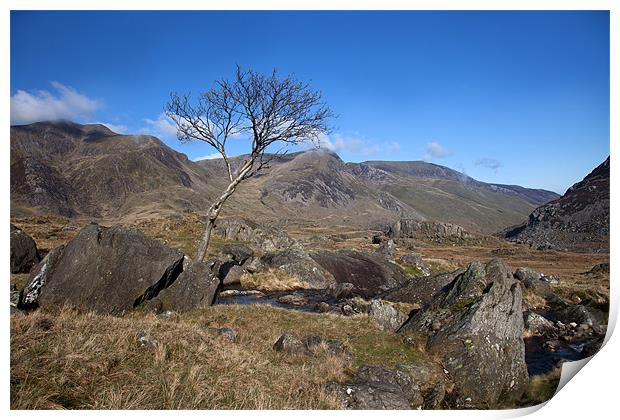 Ogwen valley Print by Gail Johnson