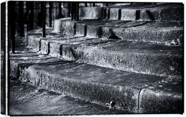 Old stone steps Canvas Print by David Hare