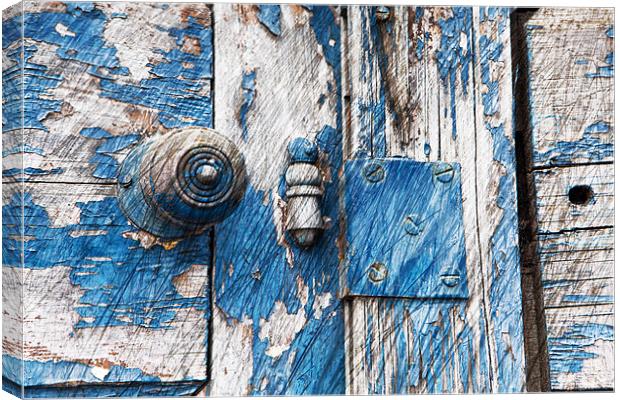 Blue Door Canvas Print by David Hare