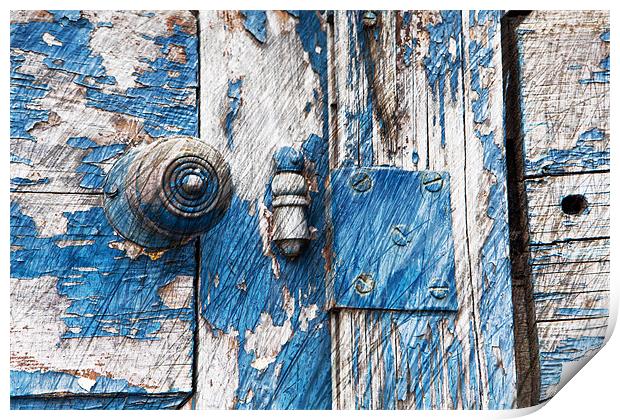 Blue Door Print by David Hare
