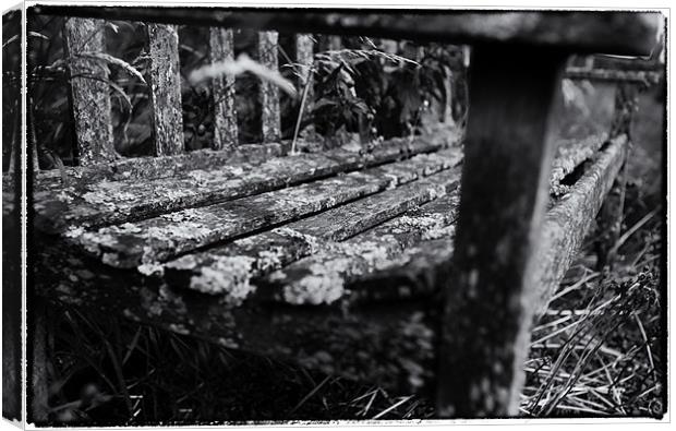 Old wooden seat. Canvas Print by David Hare
