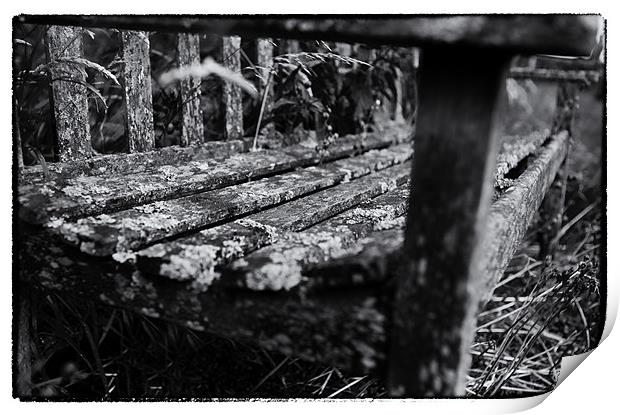 Old wooden seat. Print by David Hare
