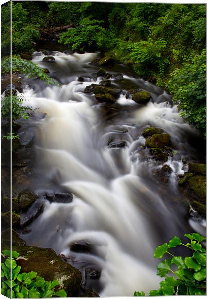 Welsh Falls Canvas Print by David Hare