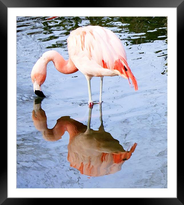 Pretty pink flamingo Framed Mounted Print by Paula Palmer canvas