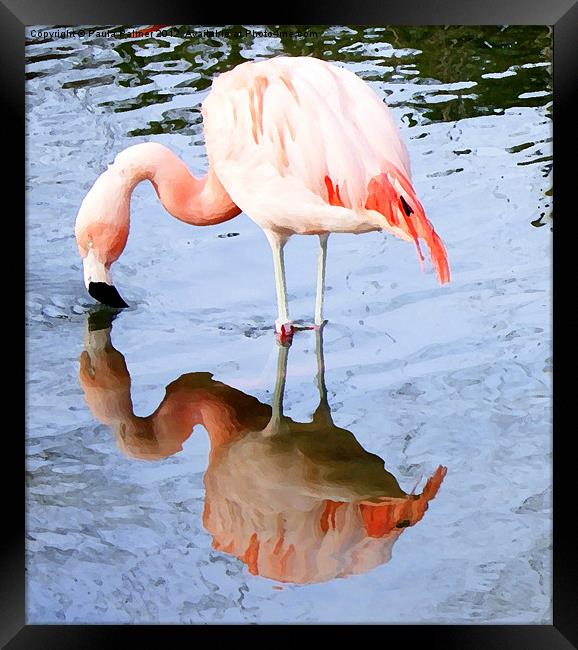 Pretty pink flamingo Framed Print by Paula Palmer canvas