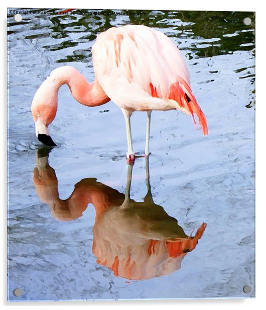 Pretty pink flamingo Acrylic by Paula Palmer canvas