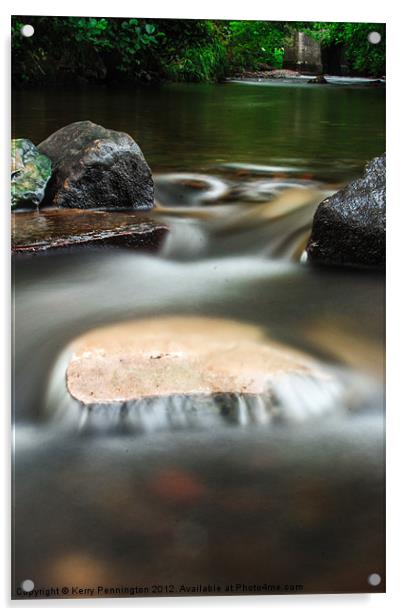 In the Water Acrylic by Kerry Pennington