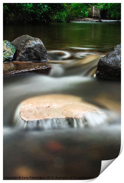 In the Water Print by Kerry Pennington