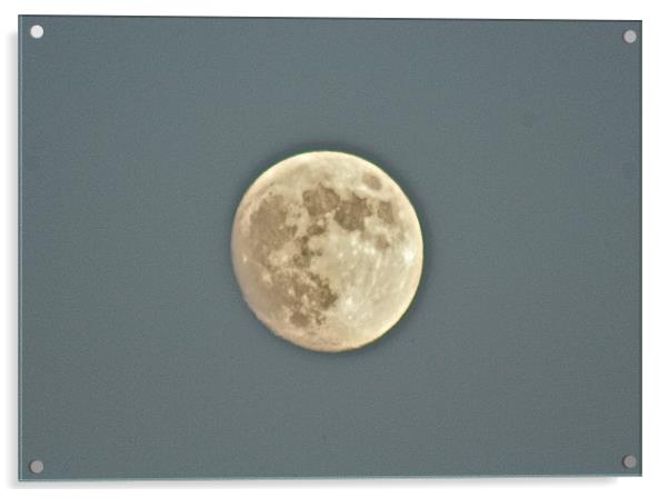 Midday Full Moon. Acrylic by Irina Walker