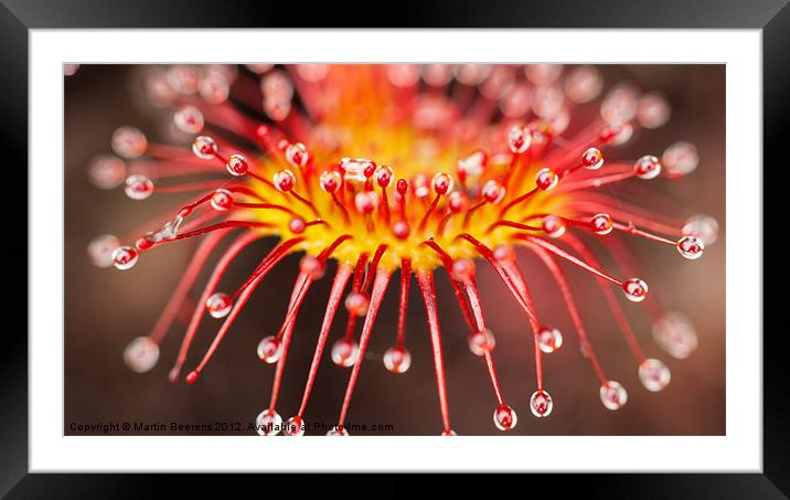 Droplets Framed Mounted Print by Martin Beerens