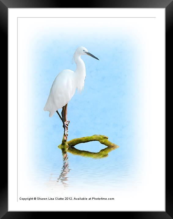 Perched Framed Mounted Print by Sharon Lisa Clarke
