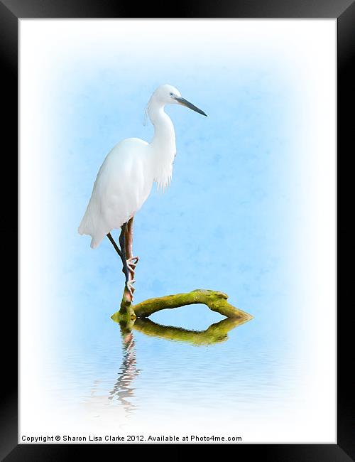 Perched Framed Print by Sharon Lisa Clarke
