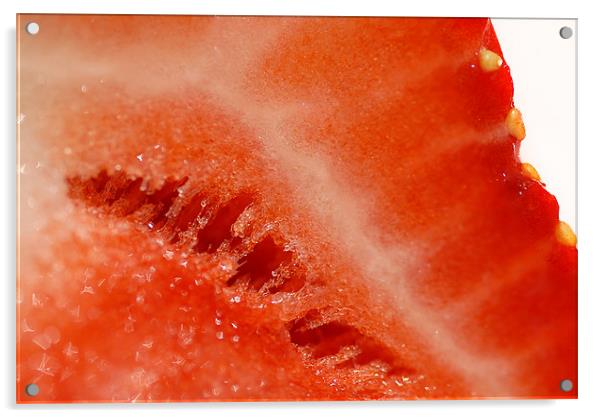 Strawberry Acrylic by Mary Lane