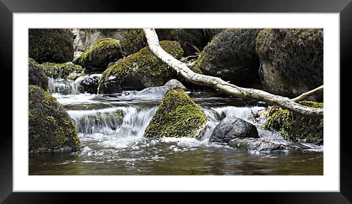 Glenariffe River Framed Mounted Print by Linda Duncan