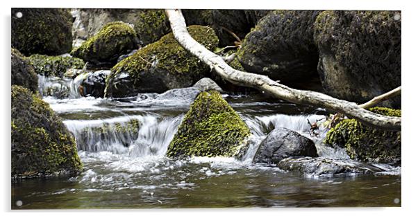 Glenariffe River Acrylic by Linda Duncan