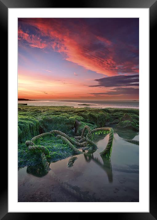 Free at last Framed Mounted Print by mark leader
