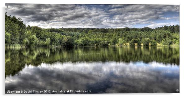 Summer Reflections Acrylic by David Tinsley