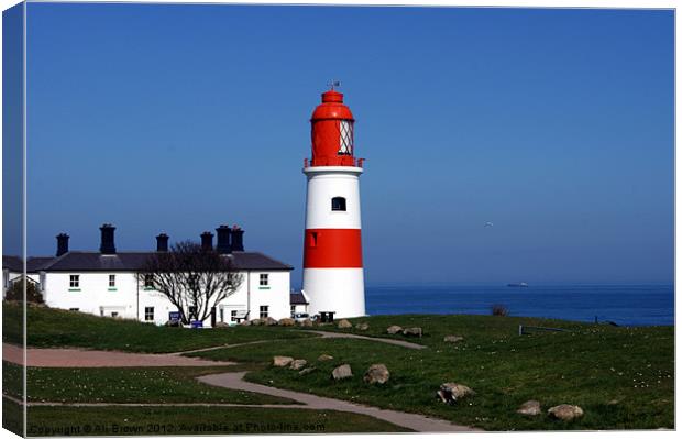 Souter Lighthouse Sunderland Canvas Print by Ali Brown