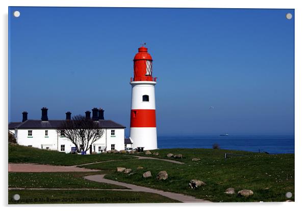 Souter Lighthouse Sunderland Acrylic by Ali Brown