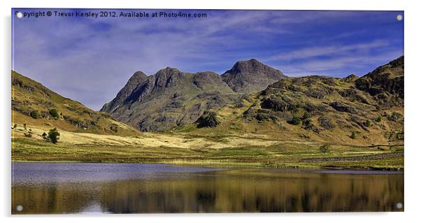 Blea Tarn Acrylic by Trevor Kersley RIP