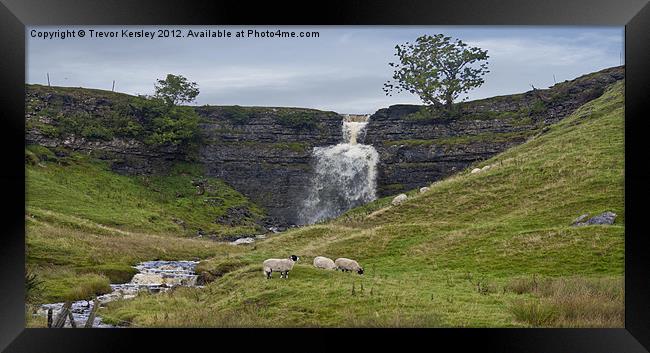 In The Yorkshire Dales Framed Print by Trevor Kersley RIP