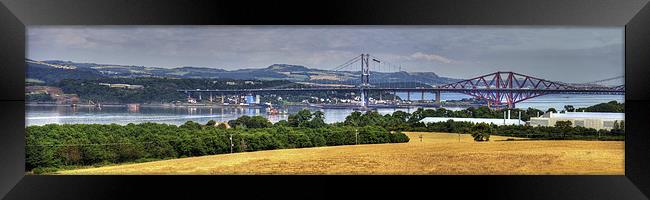 New Forth Crossing - 9 August 2012 Framed Print by Tom Gomez