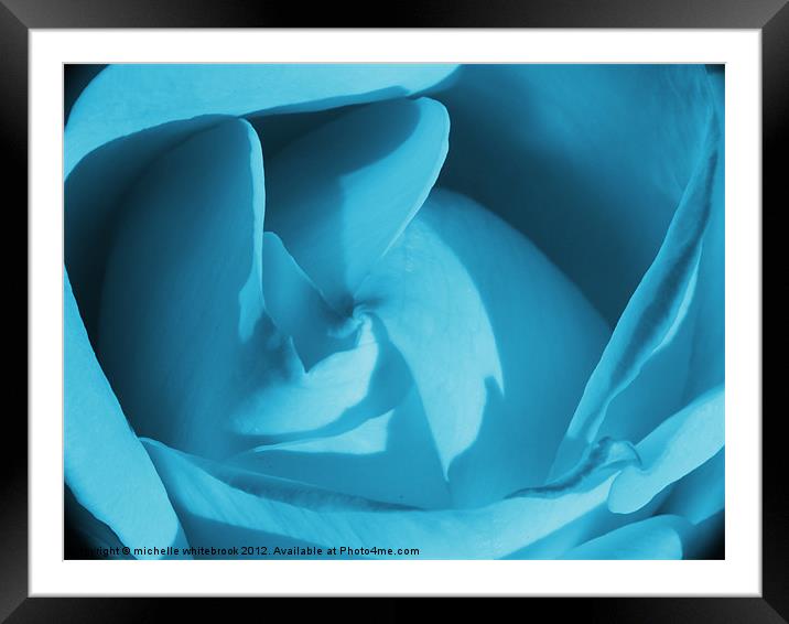 Blue Rose Framed Mounted Print by michelle whitebrook