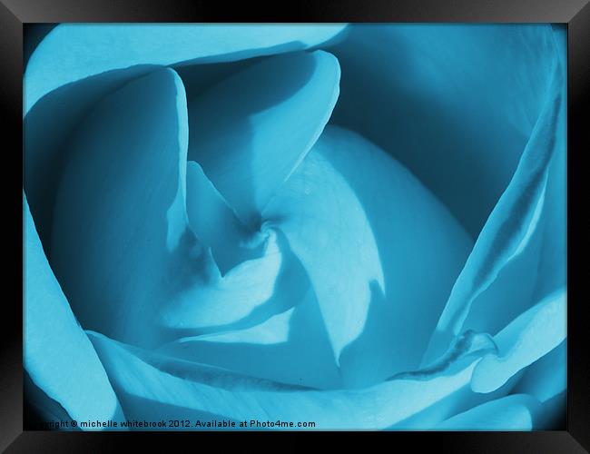Blue Rose Framed Print by michelle whitebrook